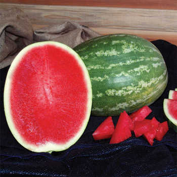 Seedless Watermelon