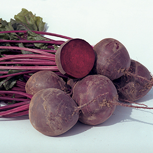 Organic Beet