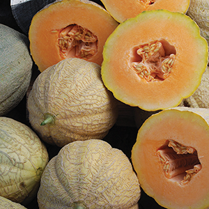 Organic Melons