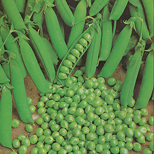 Organic Peas