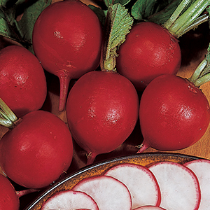 Organic Radish
