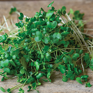 Microgreens
