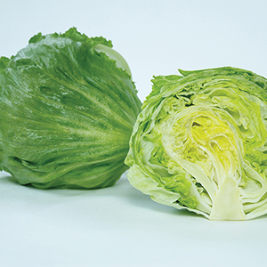 Iceberg