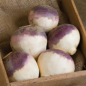 Organic Rutabaga