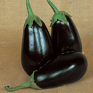 Eggplant
