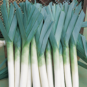 Leeks