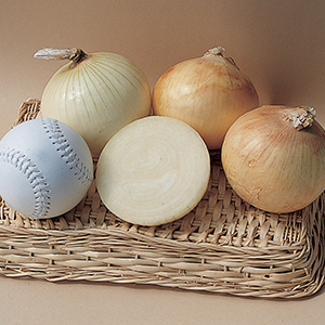 Onion