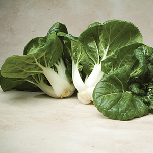 Pak Choi