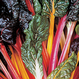 Swiss Chard