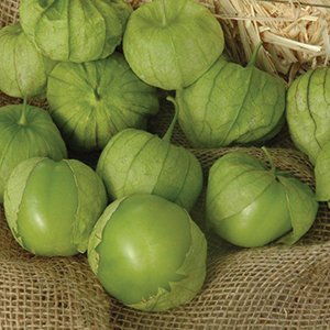 Tomatillo