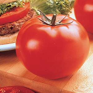 Tomato