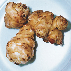 Jerusalem Artichoke