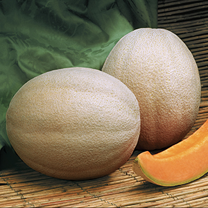 Melons